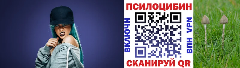 Псилоцибиновые грибы GOLDEN TEACHER  Сольвычегодск 
